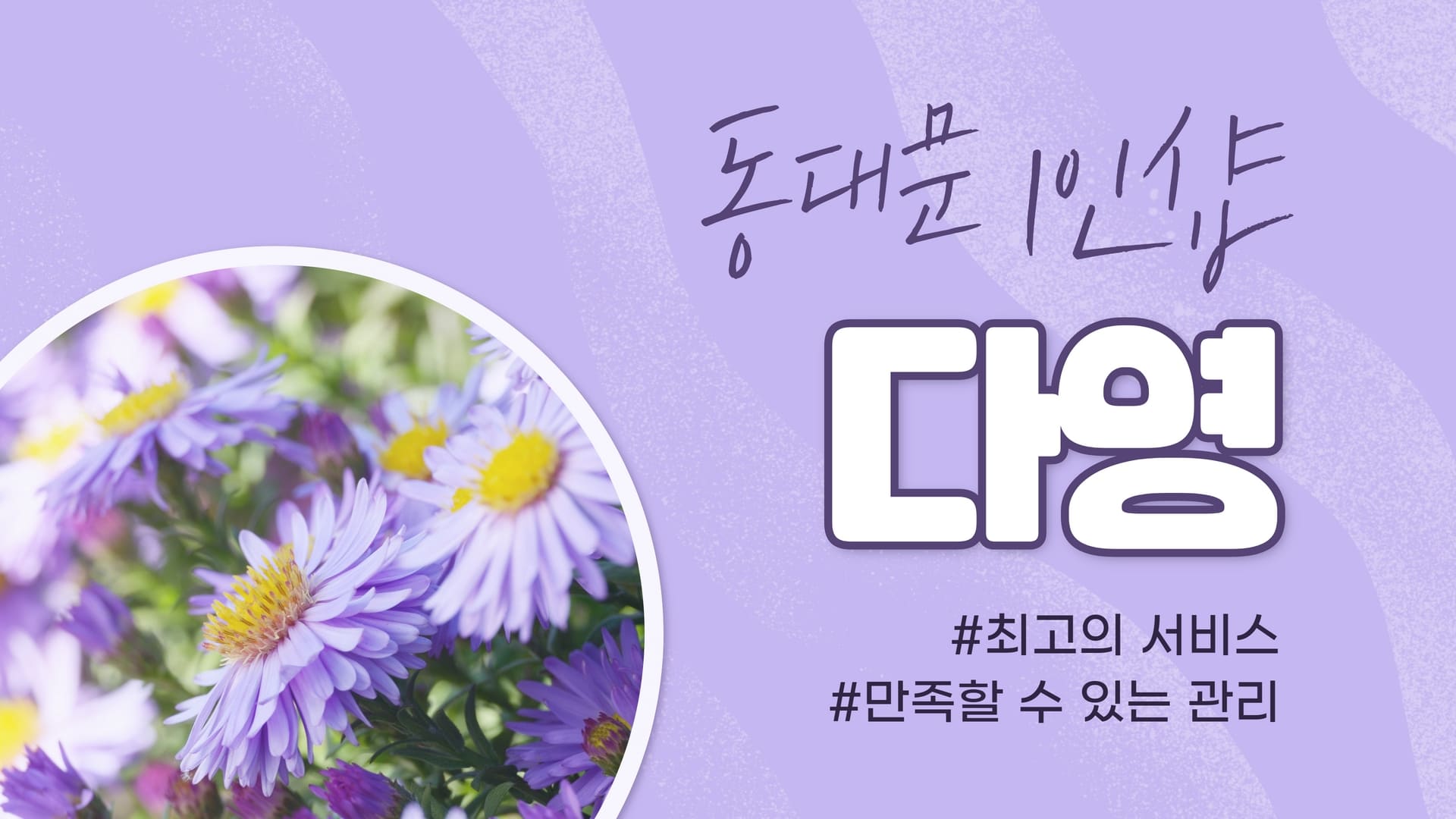 동대문 1인샵 다영